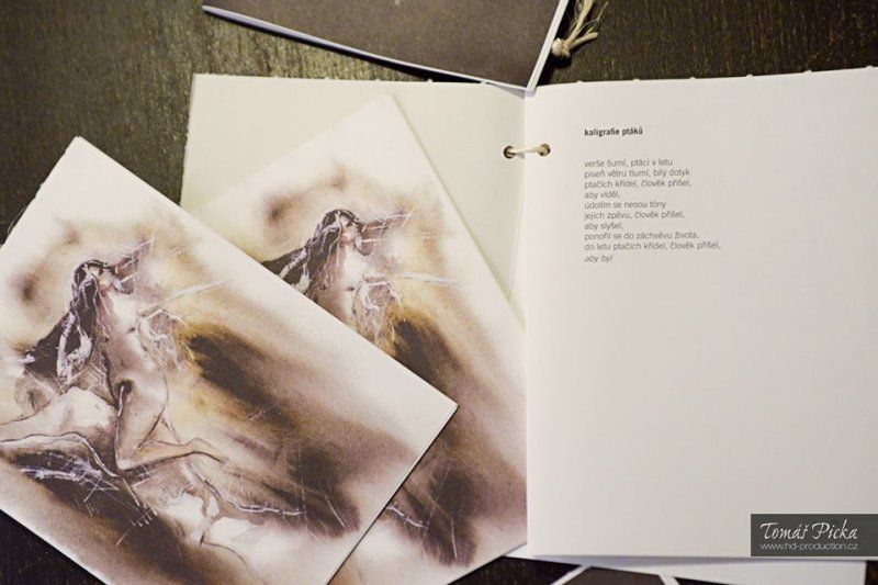 Sylva Lauerová, foto: Tomáš Picka