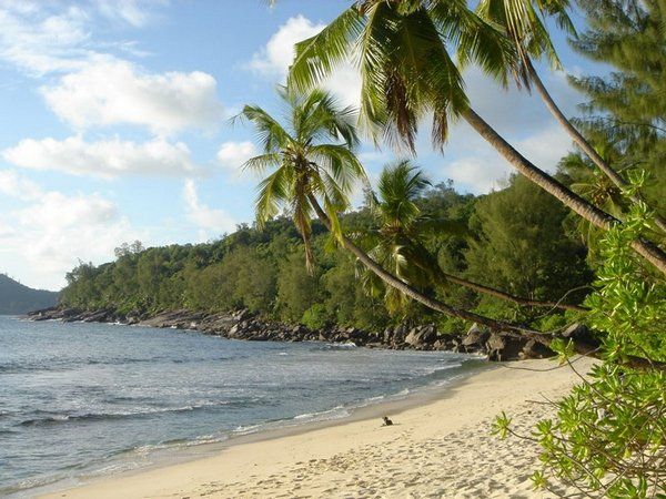 the Anse Soleil beach