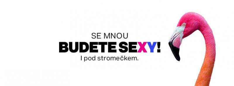 PŘÁTELÉ A ČTENÁŘI NEZOUFEJTE! Dotisk Sexy strategie se právě realizuje.
