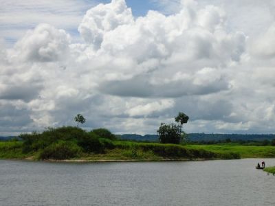 Sylva Lauerova - a journey through the Amazon rainforest