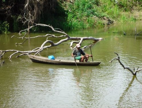 WHO or WHAT is JUMARORO?