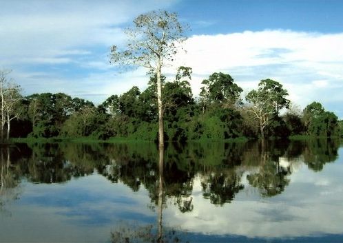 Fotogalerie - amazonská inspirace pro Jumaroro