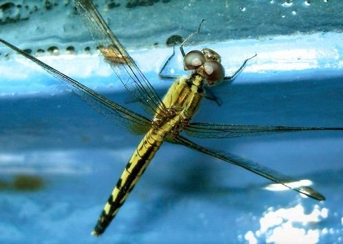 Fotogalerie - amazonská inspirace pro Jumaroro