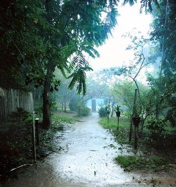 Fotogalerie - amazonská inspirace pro Jumaroro