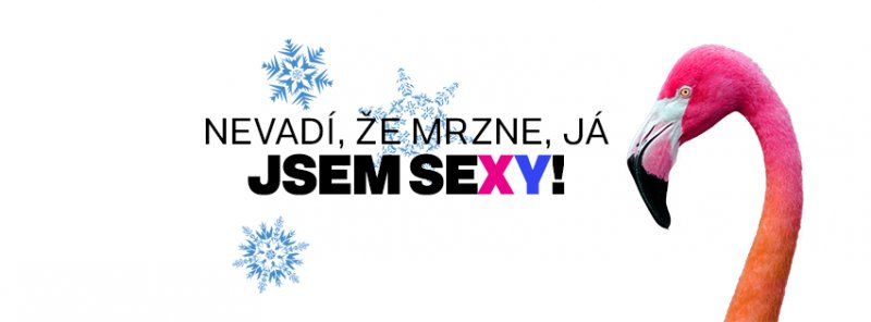 Zítra se na vás těšíme v Ateliéru Libuše :)