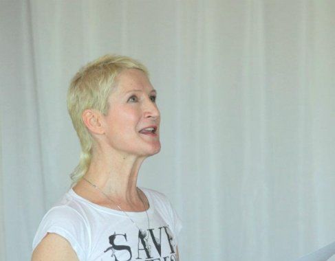 Gallery of Harsh Ovation book