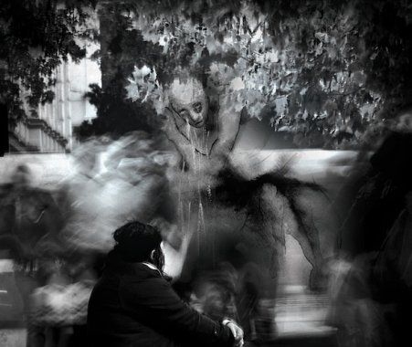 Gallery of Harsh Ovation book