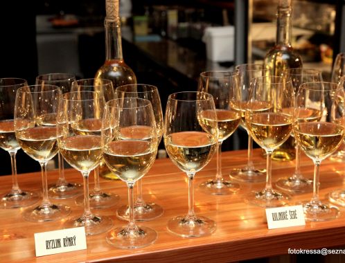 Foto: František Kressa