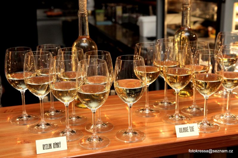 Foto: František Kressa