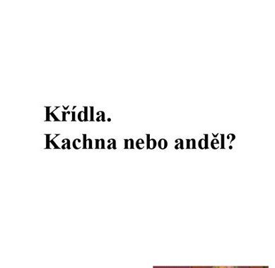 Sylva Lauerová: Michael2007 - mediální kampaň Ostrava