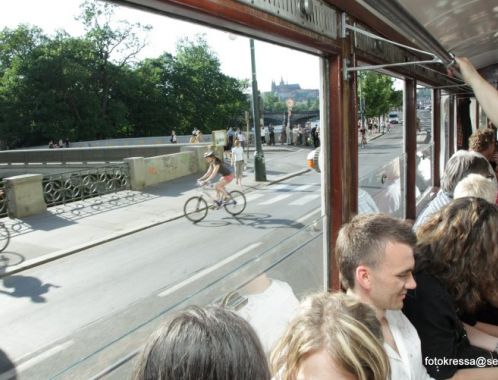 Sylva Lauerová, foto František Kressa