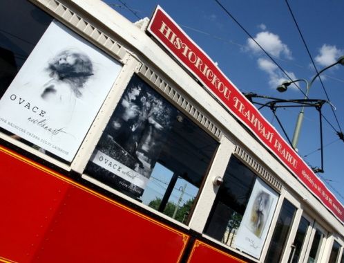 Sylva Lauerová, foto Klára Smílková