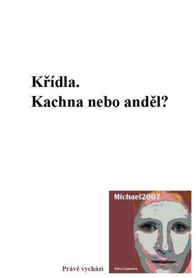 Sylva Lauerová: Michael2007 - mediální kampaň Ostrava