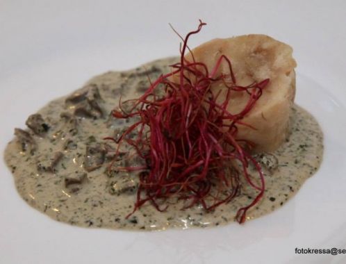 13. KULINÁRIUM "Meruňka Mátová"