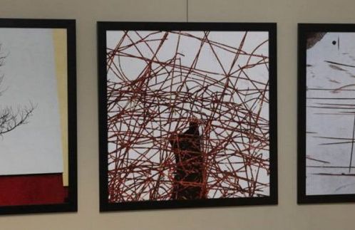 13. KULINÁRIUM "Meruňka Mátová"