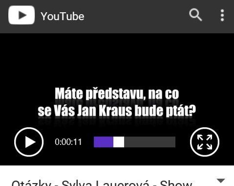 Sylva Lauerová v Show Jana Krause